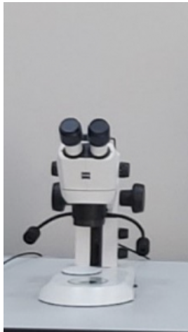 Stereo Mikroskop